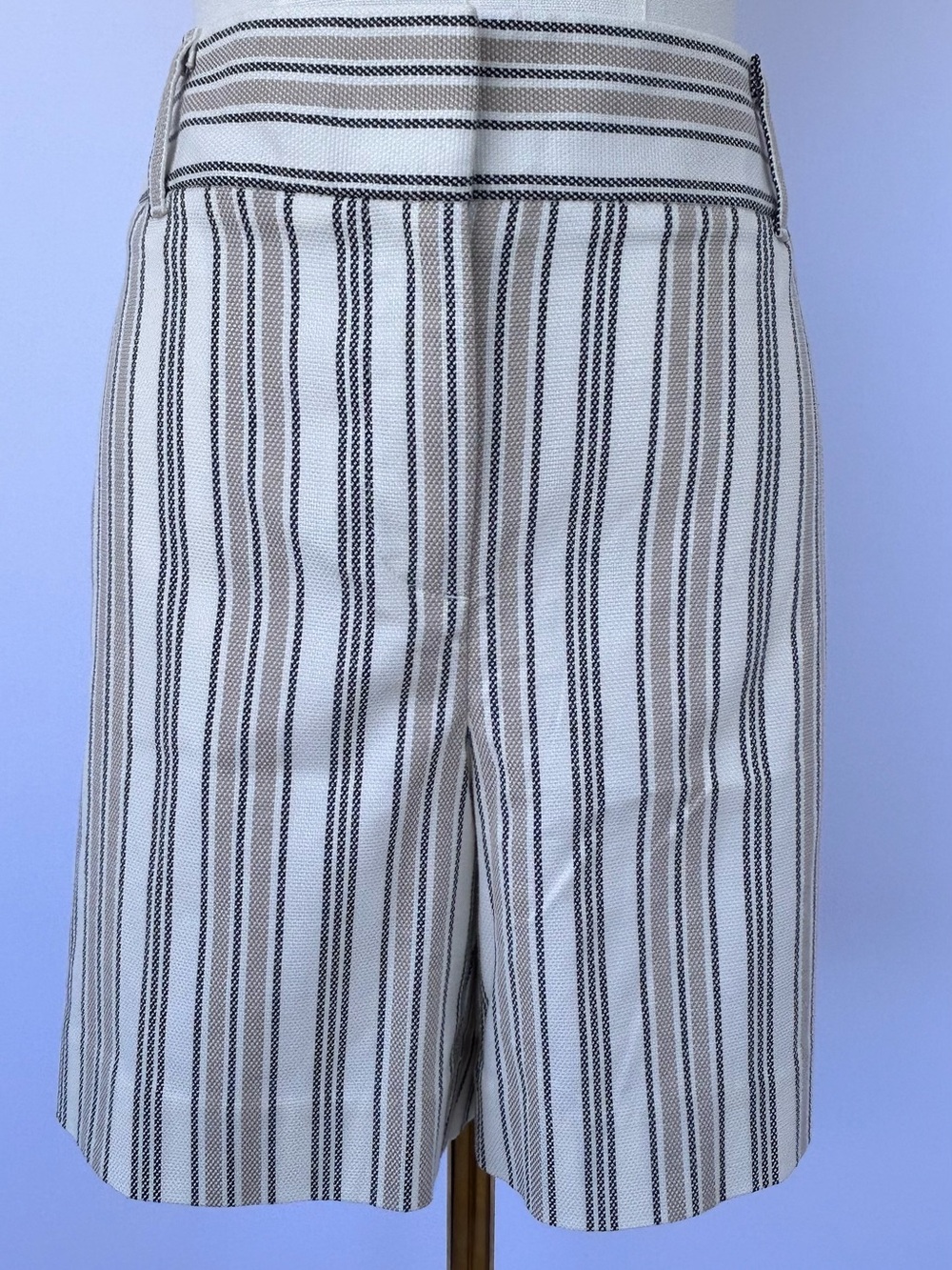 Ann Taylor Factory Women’s Vertical Stripe Shorts Flat‎ Front Size 10
